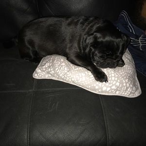 Meet your Posher, Tiffany